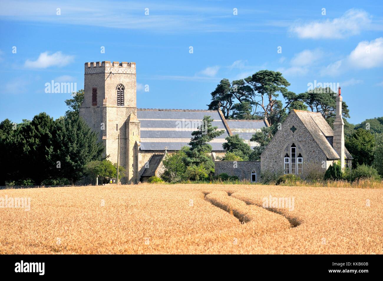 Santa Maria Vergine Chiesa Parrocchiale attraverso mature orzo campo nel villaggio di Gunthorpe, vicino a Cromer, Norfolk, Inghilterra. Estate Foto Stock