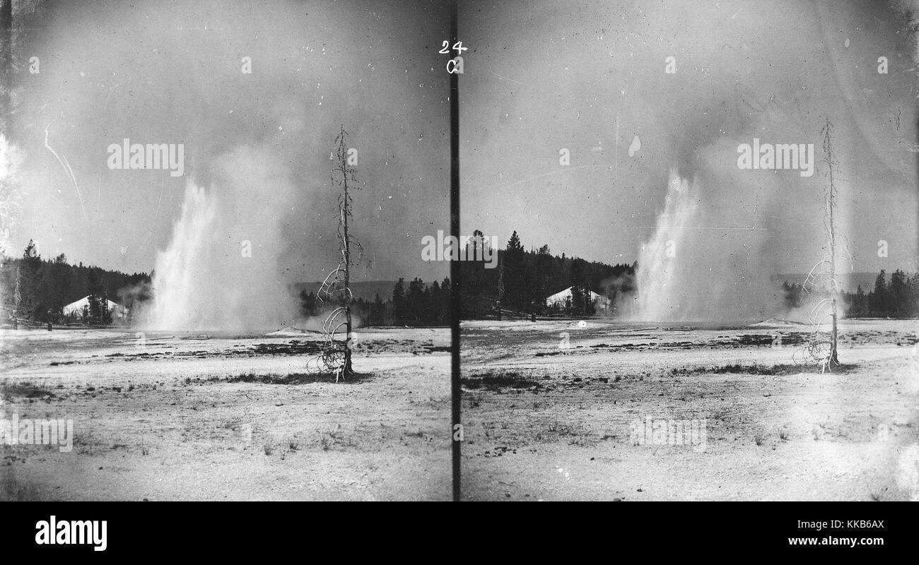 Stereografo che mostra un'eruzione di Daisy Geyser, Yellowstone National Park, Wyoming. Immagine gentilmente concessa da USGS. 1872. Foto Stock