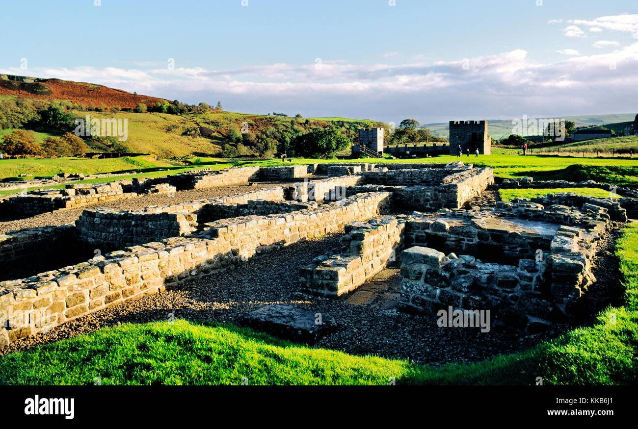 Vindolanda Roman Fort sulla parete di Adriano, Northumberland, Inghilterra. Le pareti dei condottieri residence Foto Stock