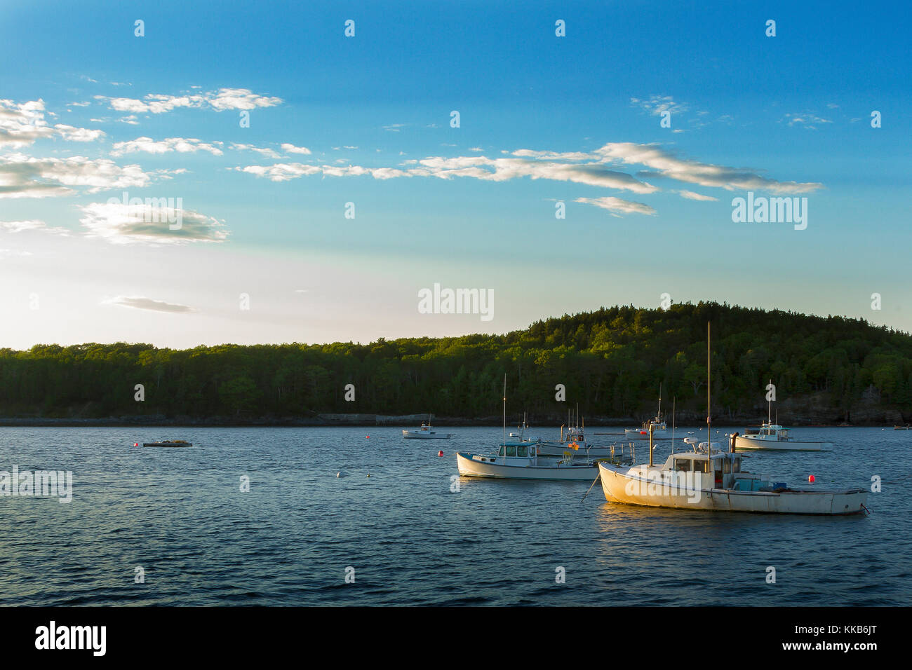 Parco nazionale di Acadia sull'isola di Mount Desert, Maine Foto Stock