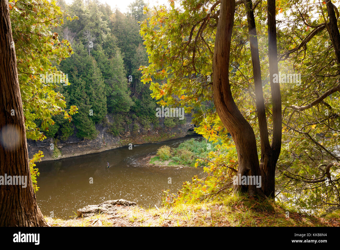 Elora gorge,grand river, ontario, Canada, America del nord Foto Stock