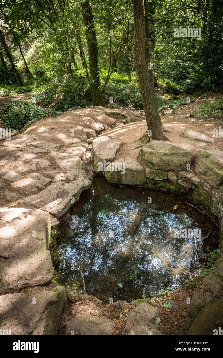 Fontana della giovinezza, foresta di paimpont, Bretagna, in Francia, in  Europa Foto stock - Alamy