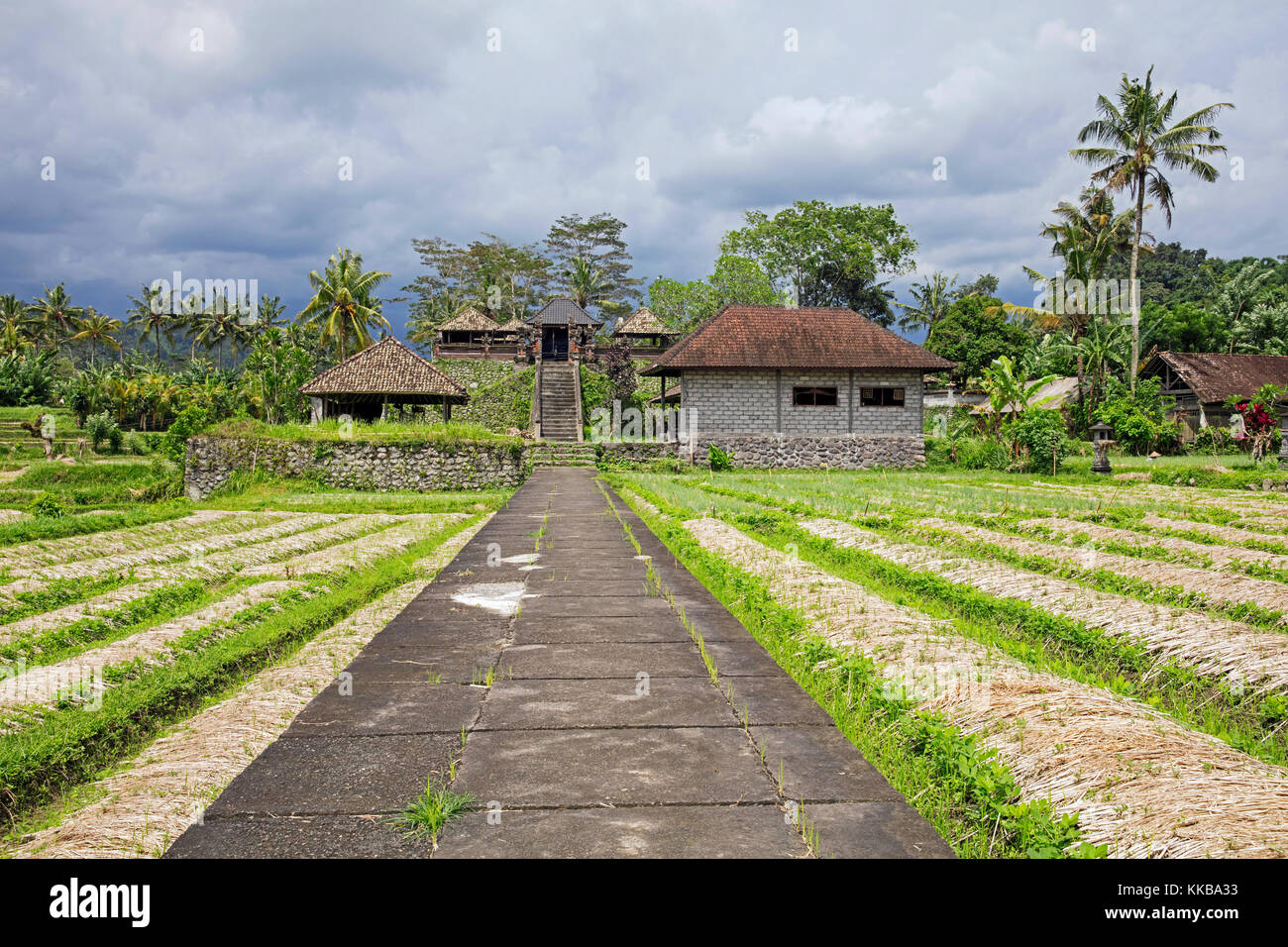 Campo di riso e il piccolo tempio nel villaggio rurale sideman nel karangasem regency, Bali, Indonesia Foto Stock