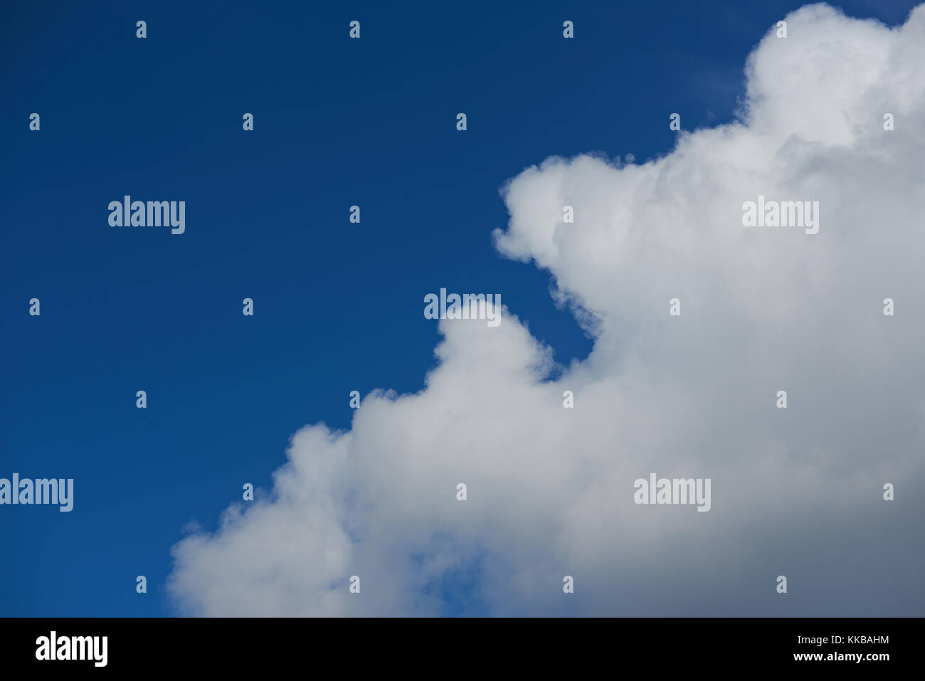 Una nuvola sul profondo blu del cielo sfondo. cloud con spazio sul cielo blu Foto Stock