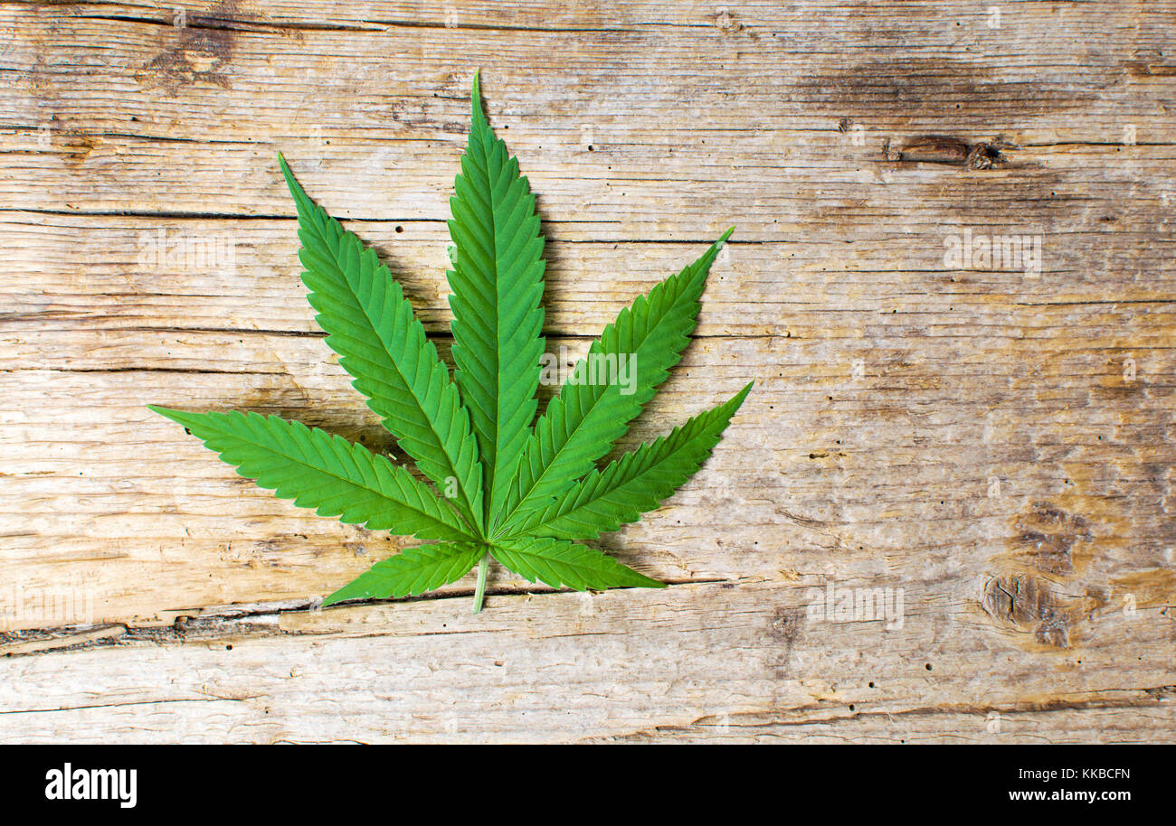 Foglia di marijuana su un rustico sfondo di legno Foto Stock