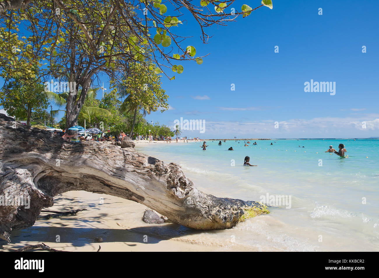 Spiaggia tropicale di sainte anne - mar dei Caraibi - Guadalupa isola tropicale Foto Stock