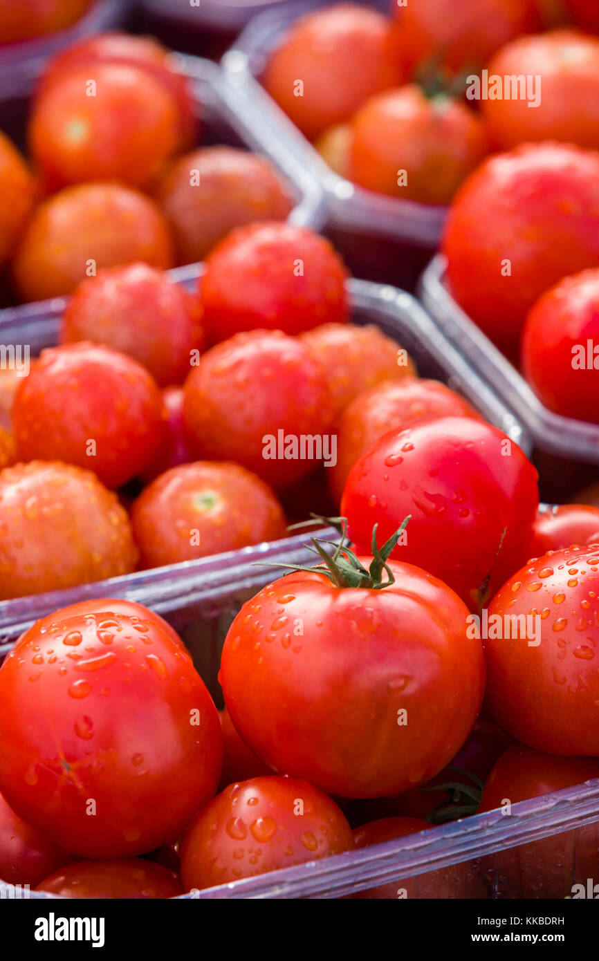 Mercato degli Agricoltori che mostra campo freschi pomodori maturi per la vendita. Foto Stock