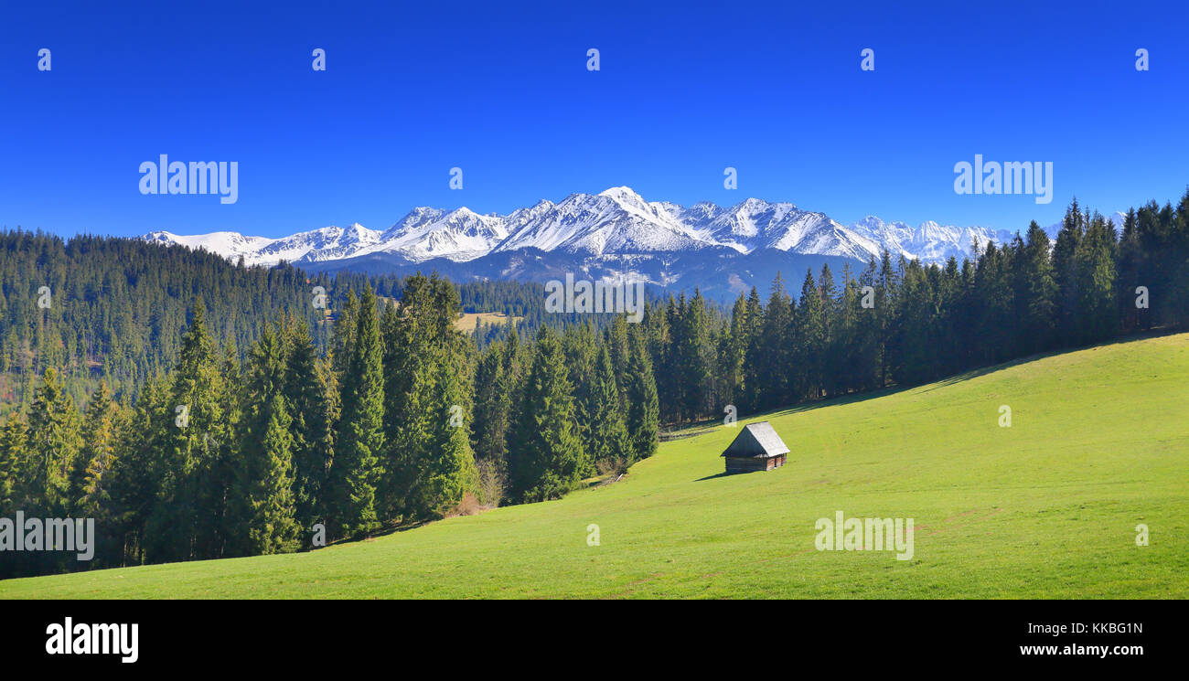 Vista panoramica sulla verde vallata alpina sulla montagna innevata sullo sfondo. soleggiata giornata estiva nelle alpi. blu cielo sopra le montagne pittoresche cime. montaggio classico Foto Stock