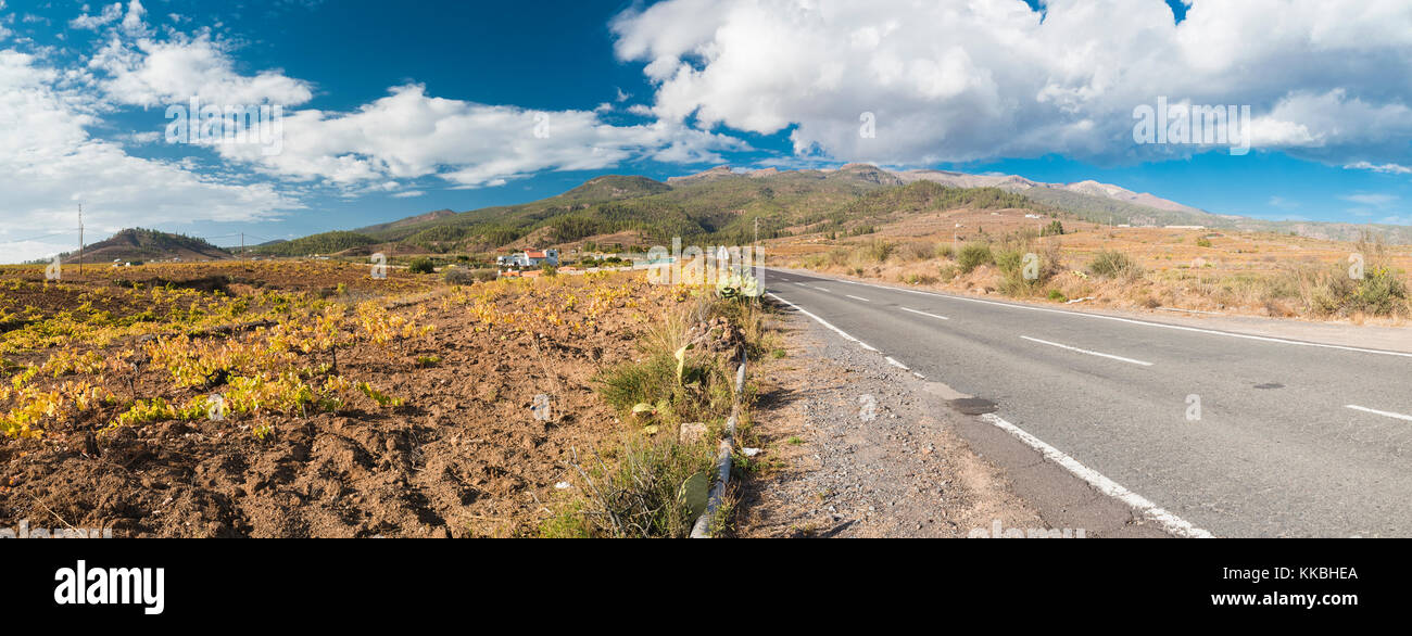 La strada a Vilaflor da Arona, attraverso una delle regioni vinicole di Tenerife con campo di vigne dopo la raccolta sulla sinistra Foto Stock