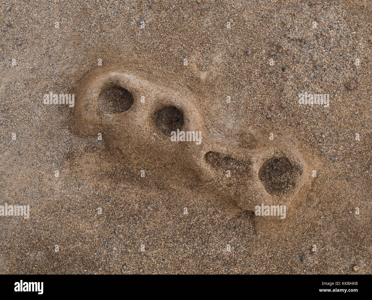 Molto inusuale condotto verticale (acqua scappare) strutture formate quando phonolitic ignimbrite è stato depositato sul bagnato sabbia calcarea a El Medano, Tenerife Foto Stock