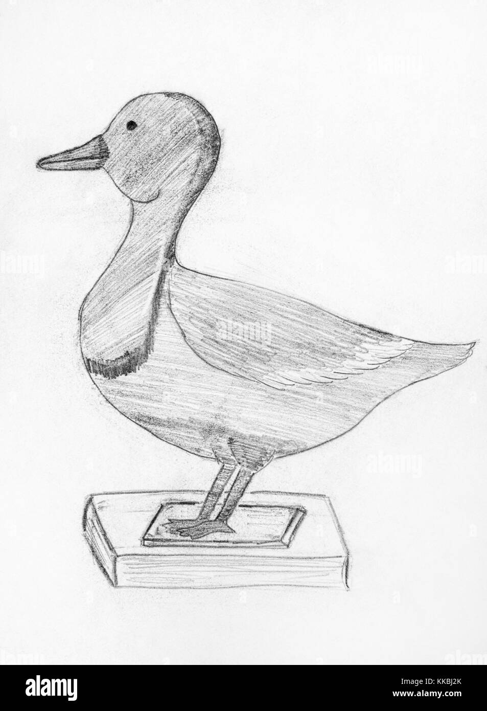 papera disegno - 10 Disegno papera Foto e Immagini Stock in Bianco e Nero - Alamy