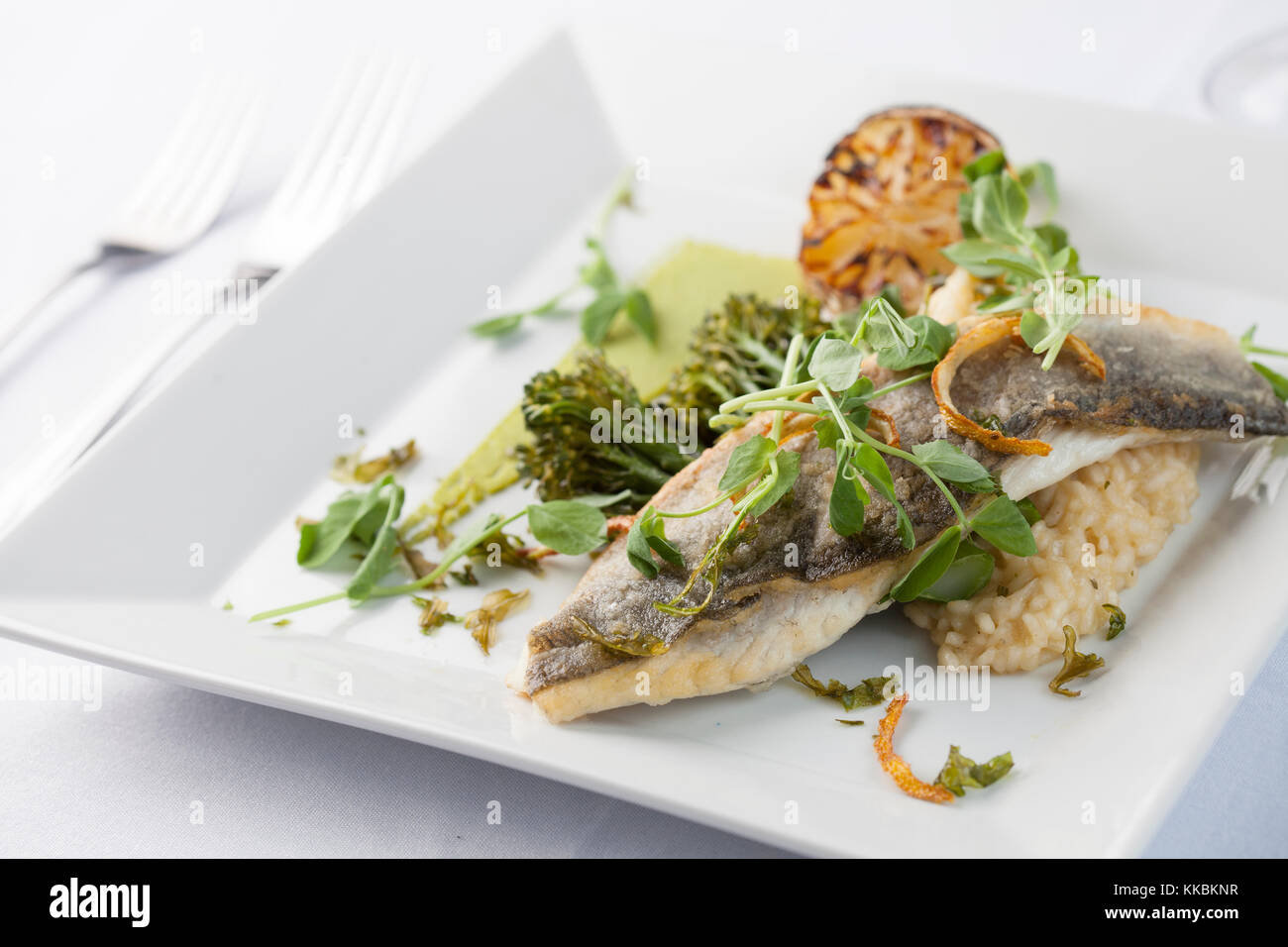 Pan fried spigola su di una piazza piastra bianca Foto Stock
