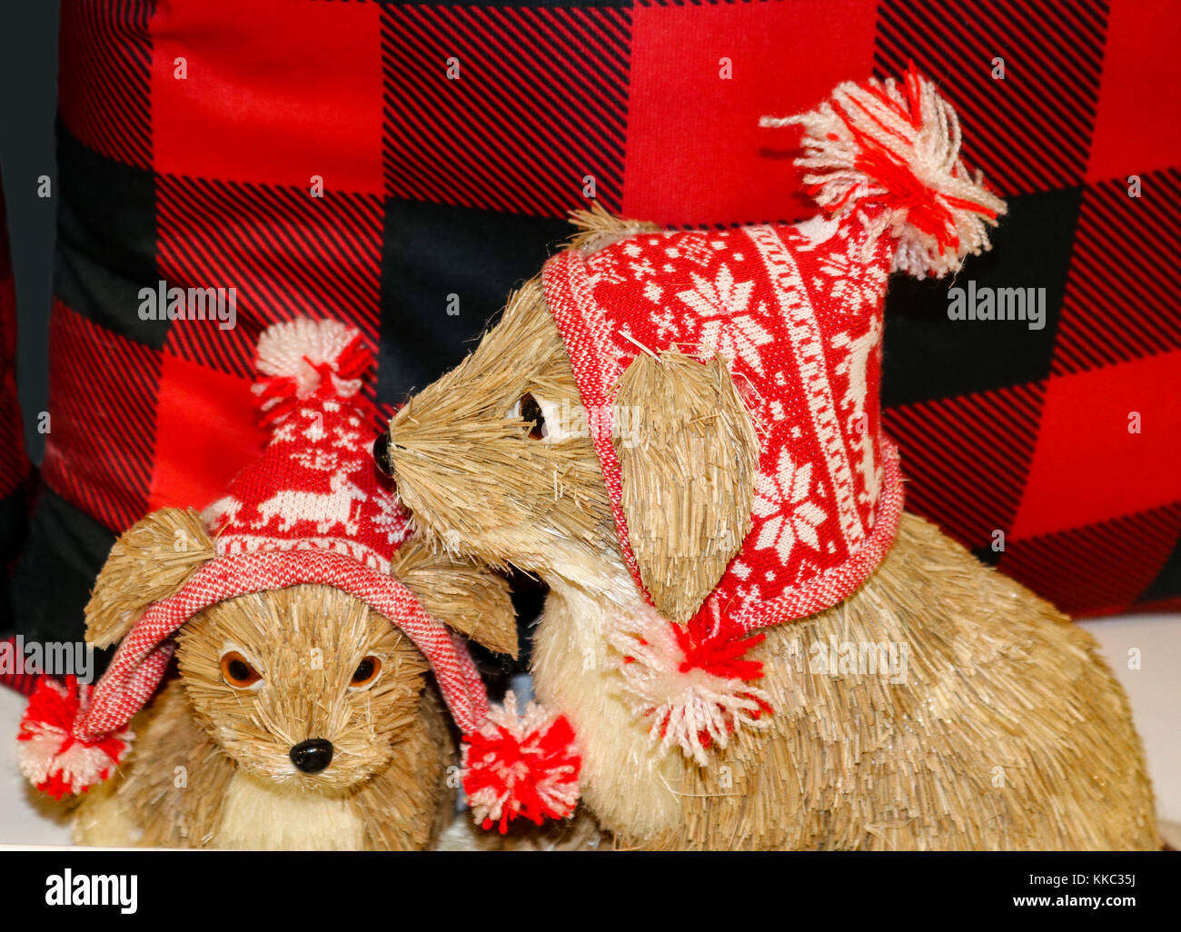 Spazzola con setole di madre e bambino i cani in cappelli di Natale in fornt di rosso e nero plaid cuscini Foto Stock