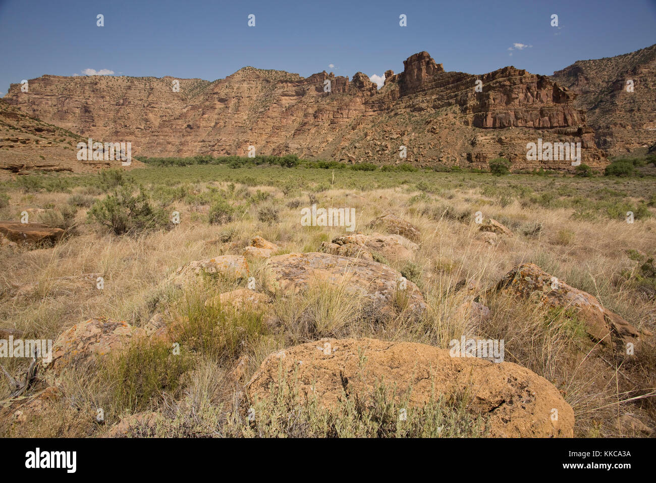 Canyon del deserto Foto Stock