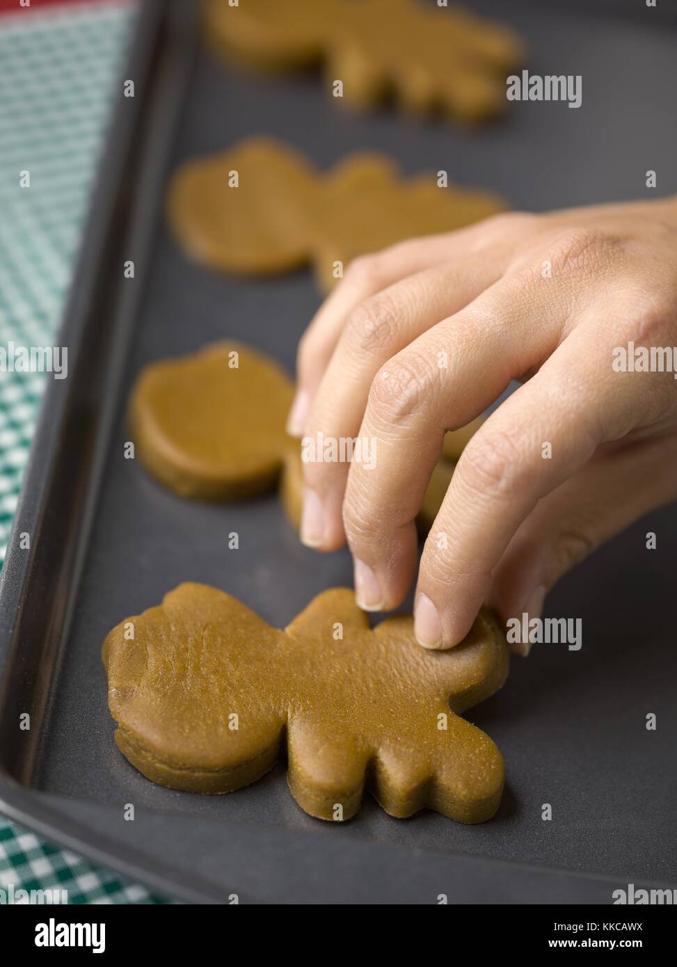 Mano azienda gingerbread cookie Foto Stock