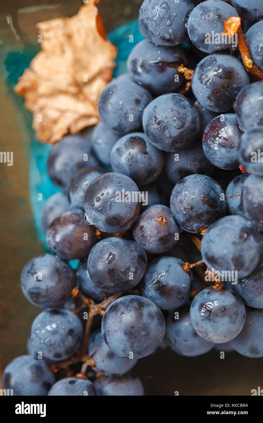 Vino rosso uva su una piastra scuro. blu UVA, UVE scuro Foto Stock