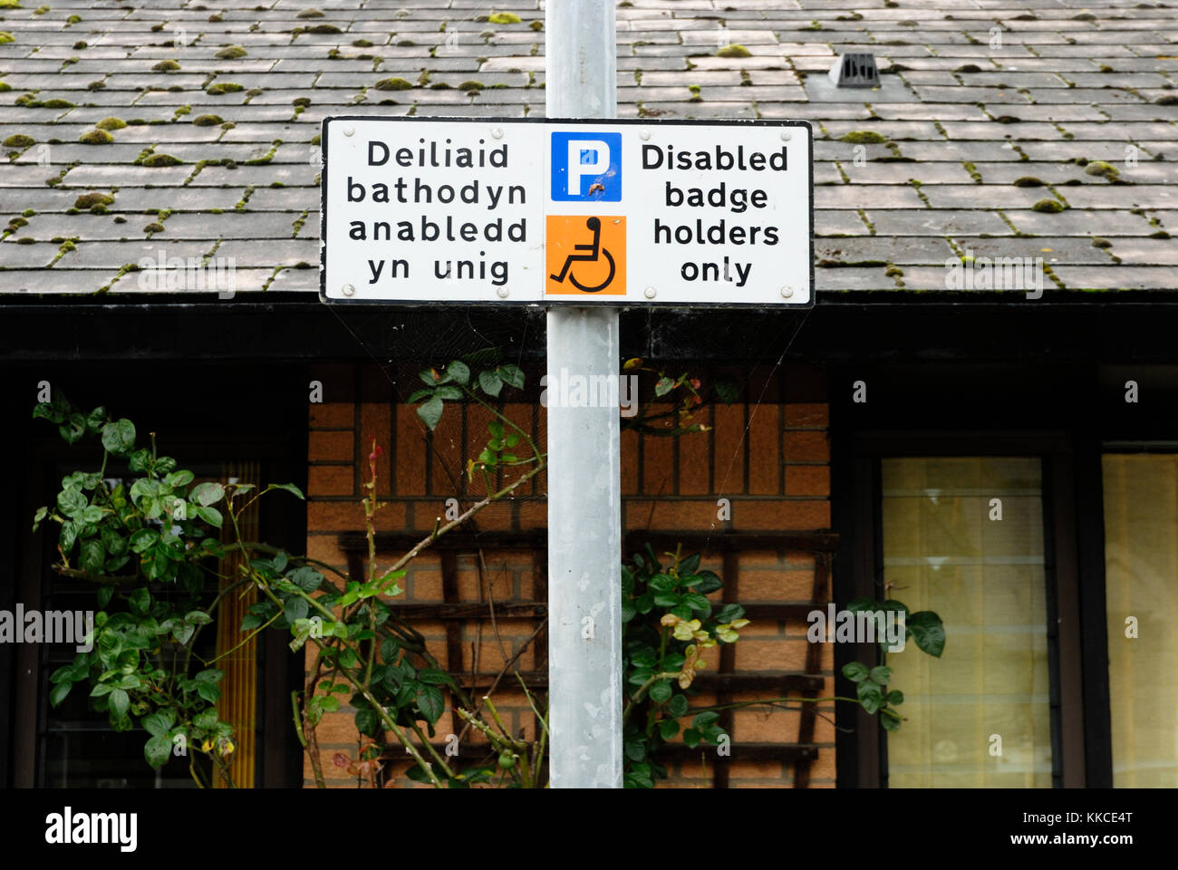 Cartello bilingue a dettare il parcheggio per disabili solo al di fuori di un centro diurno per anziani, Aberystwyth, Galles. Foto Stock