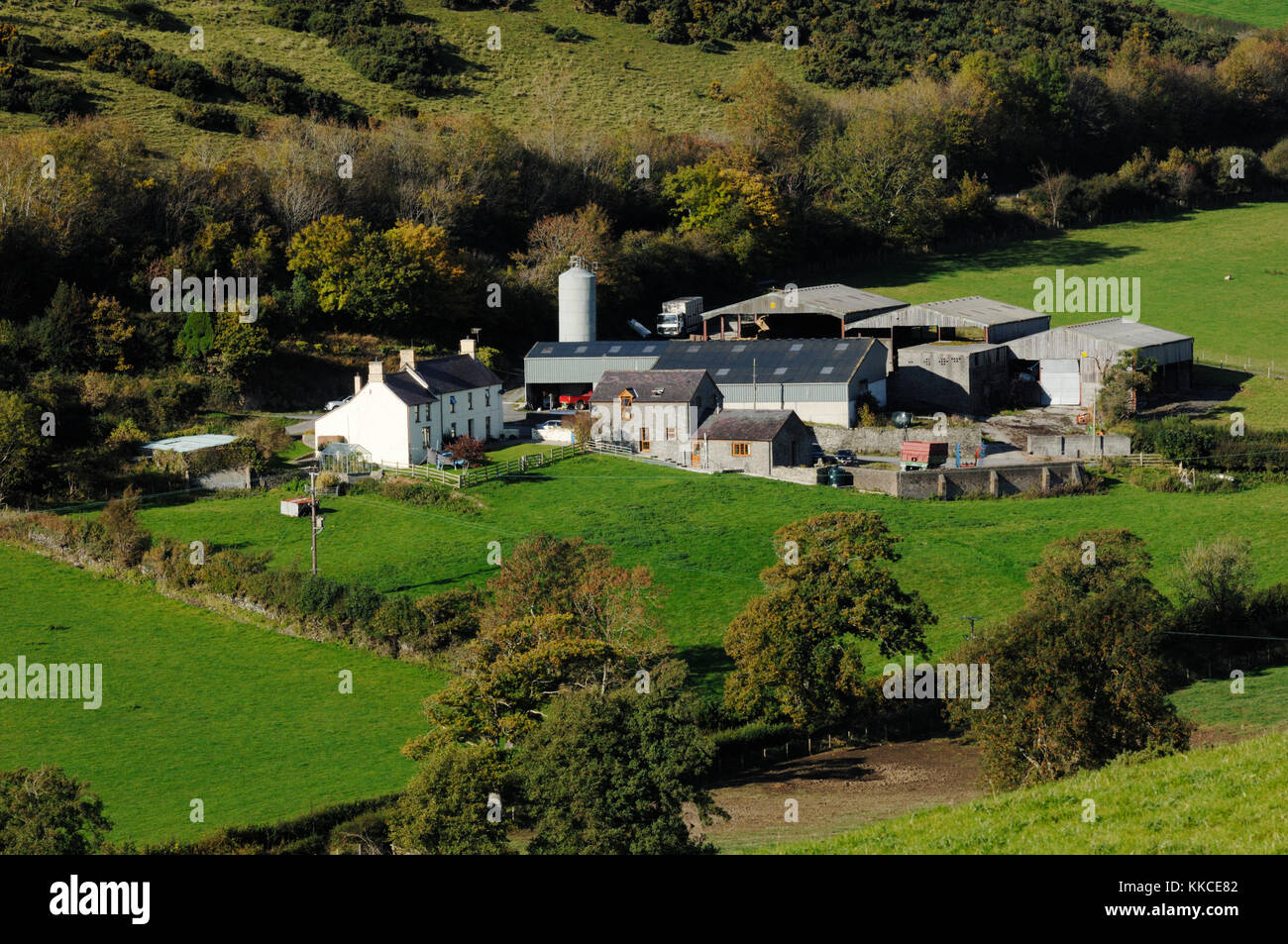 Pianura mista colture e allevamento di bestiame complesso,Llanrhystud, Wales, Regno Unito. Foto Stock