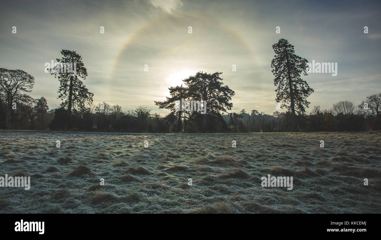 Primi segni di inverno con il pupazzo di neve rime di copertura parco castletown. tempo freddo come temperatura di colpire sotto zero a celbridge, kildare, Irlanda Foto Stock