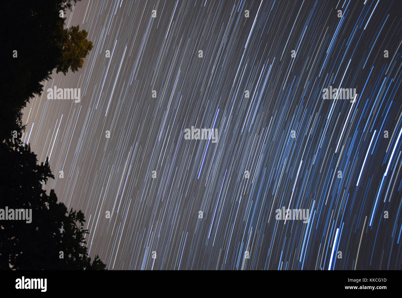Esposizione a lungo tracce stellari nella Francia meridionale cielo notturno con albero in primo piano a sinistra Foto Stock