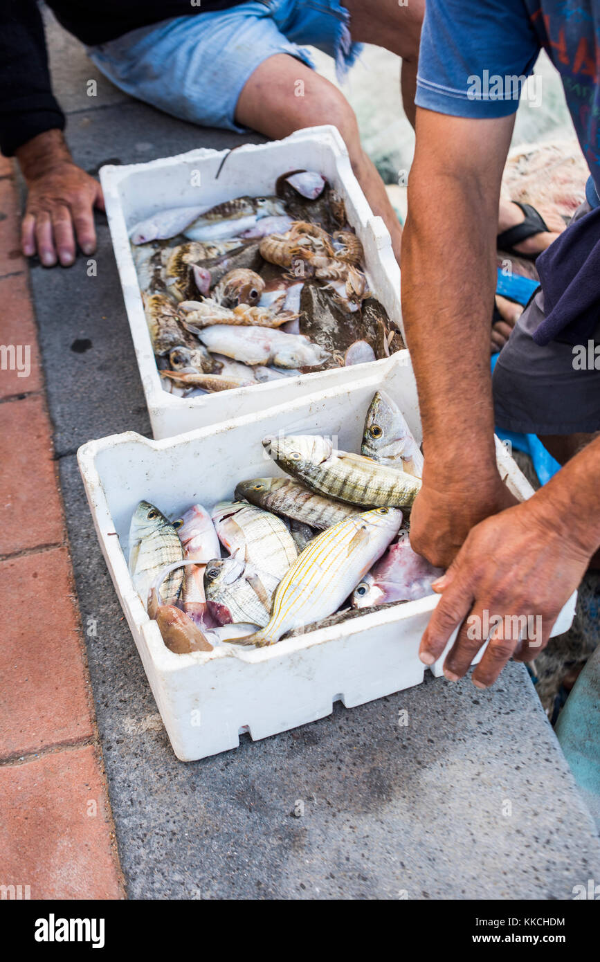 Persone che acquistano il pesce dal pescatore al porto Foto Stock