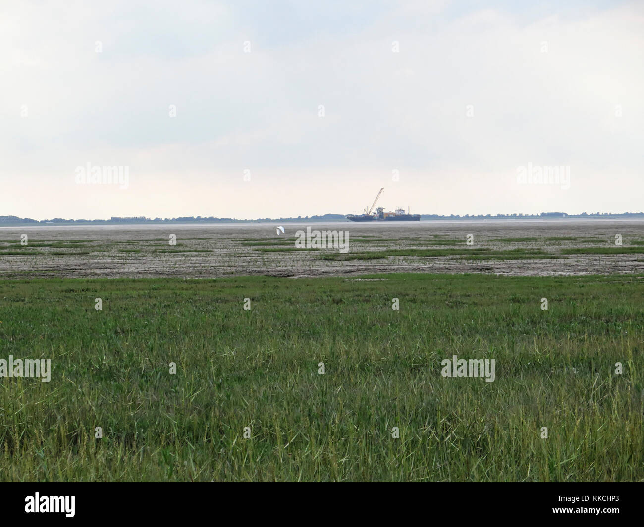 Viste del lavaggio, Terrington St Clements paludi, King's Lynn, Norfolk Foto Stock