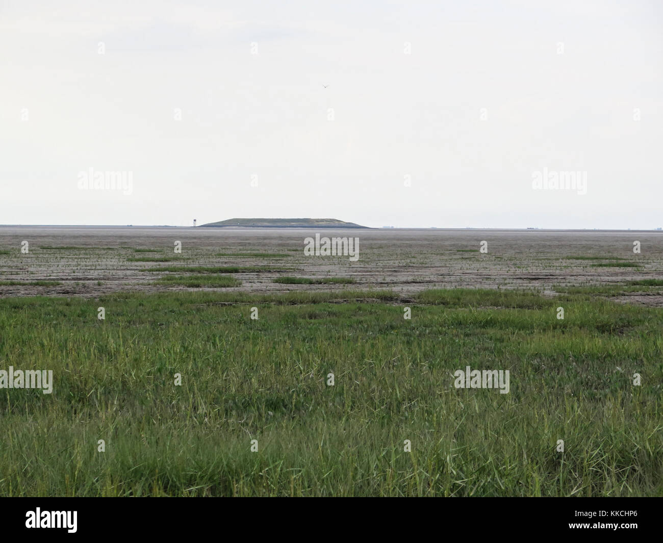 Viste del lavaggio, Terrington St Clements paludi, King's Lynn, Norfolk Foto Stock