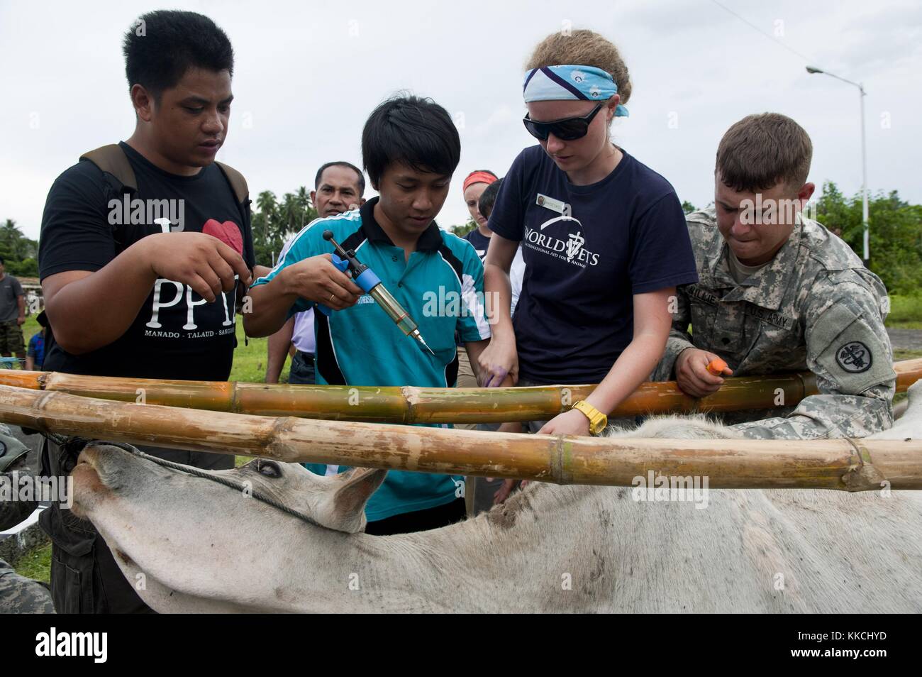 L'SPC dell'esercito Bradley McWillie, volontario Helle Hydeskev, lavora con un veterinario indonesiano locale per somministrare inoculazioni a una mucca durante un progetto di azioni civiche veterinarie, Sangihe, Indonesia, 2012. Per gentile concessione di Mass Communication Specialist 3rd Class Michael Feddersen/US Navy. Foto Stock