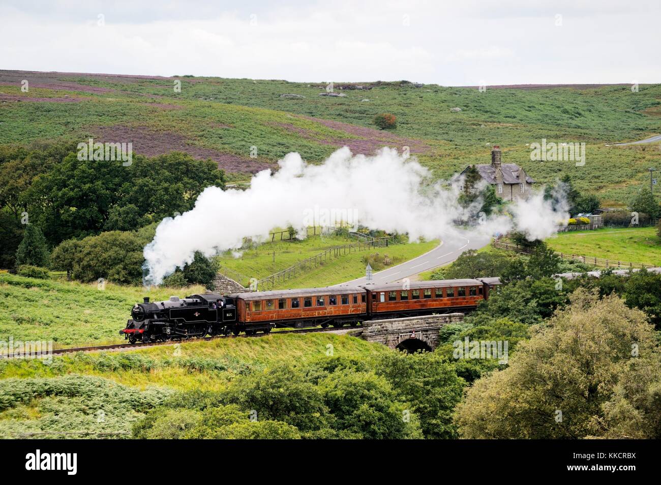 North Yorkshire Moors railway. vintage locomotiva a vapore motore ferroviaria no.80072 tira il treno a sud di goathland, England, Regno Unito Foto Stock