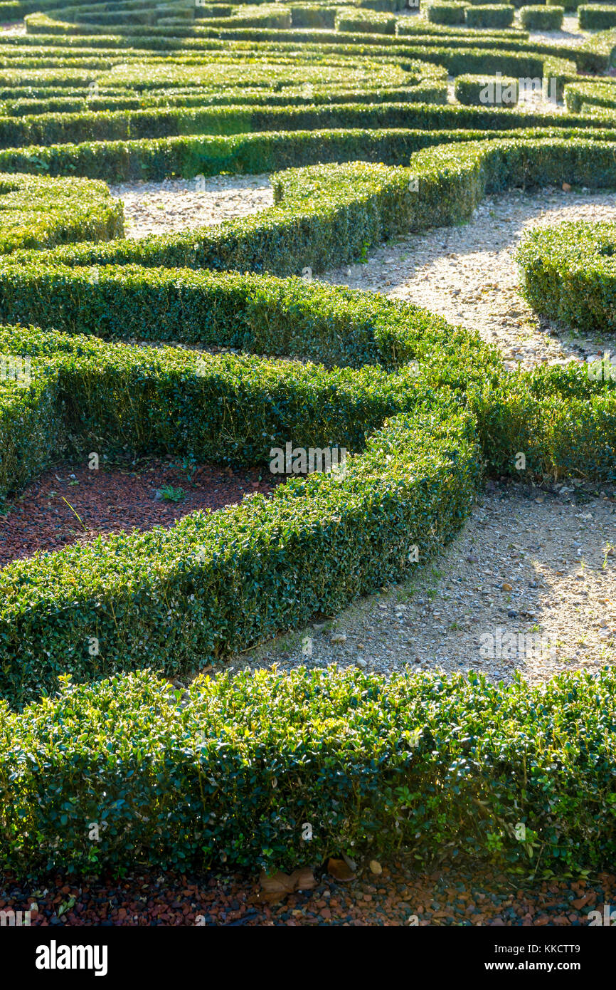 Rifinito in legno di bosso un francese giardino formale. Foto Stock