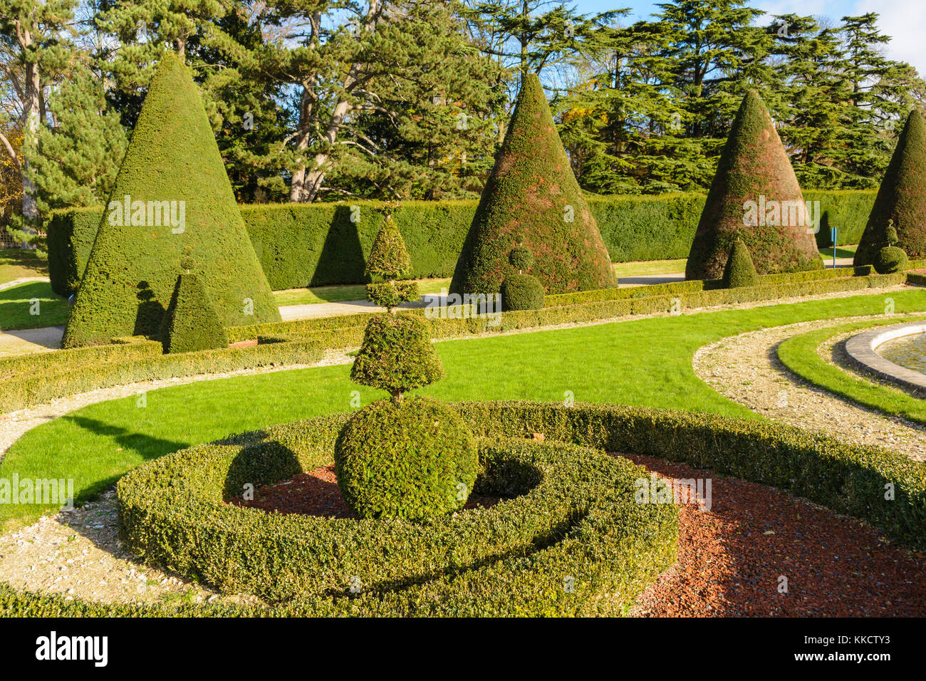 Bosso rifinito e alberi di tasso in un giardino formale francese. Foto Stock