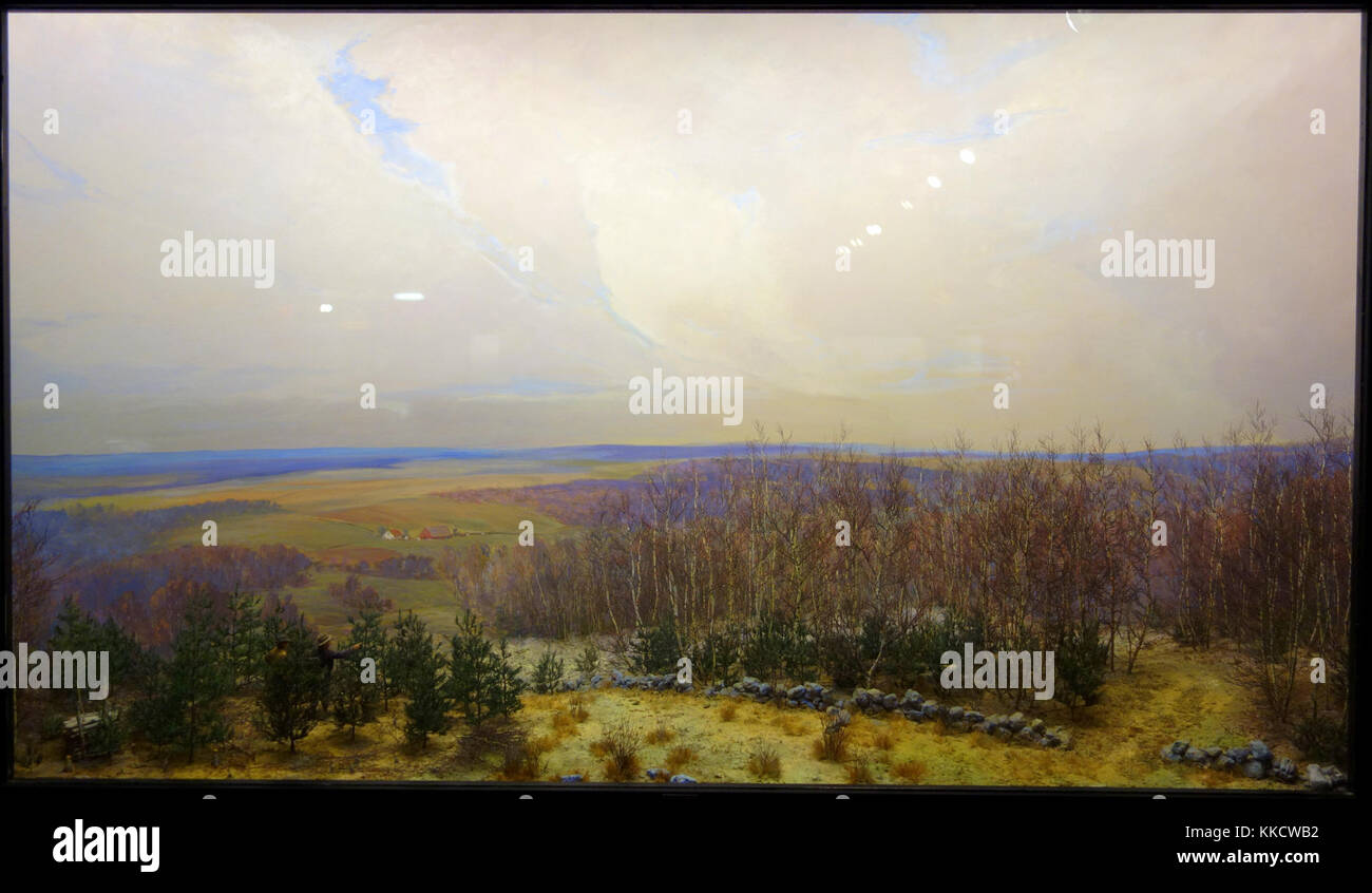 Caso 15 - Rilascio di pino bianco dalla soppressione dal grigio betulla - diorami nel Museo di Fisher (foresta di Harvard) - DSC07324 Foto Stock