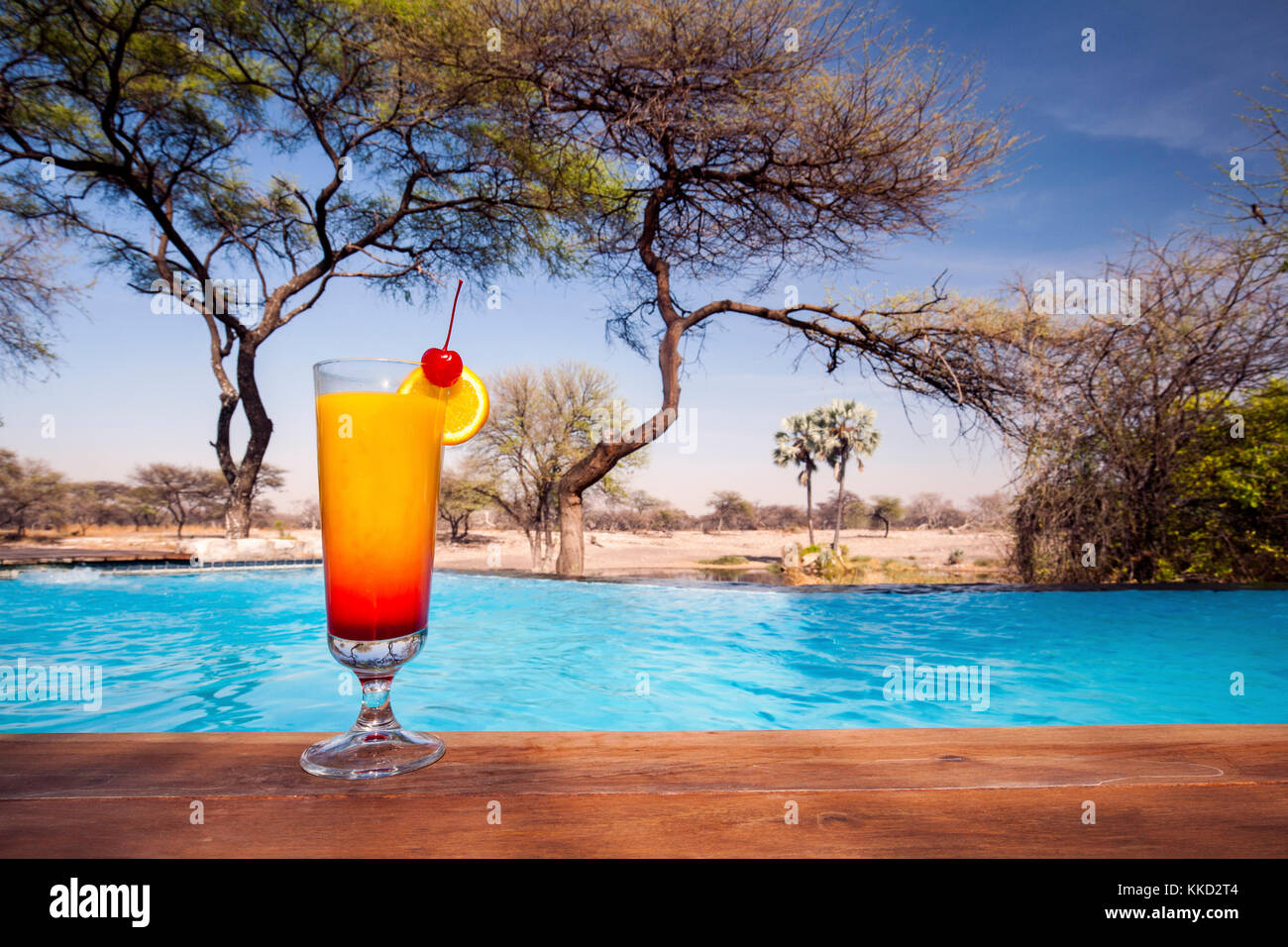 Tropical Drink presso la piscina di Onguma Tented Camp, onguma Game Reserve, Namibia, Africa Foto Stock