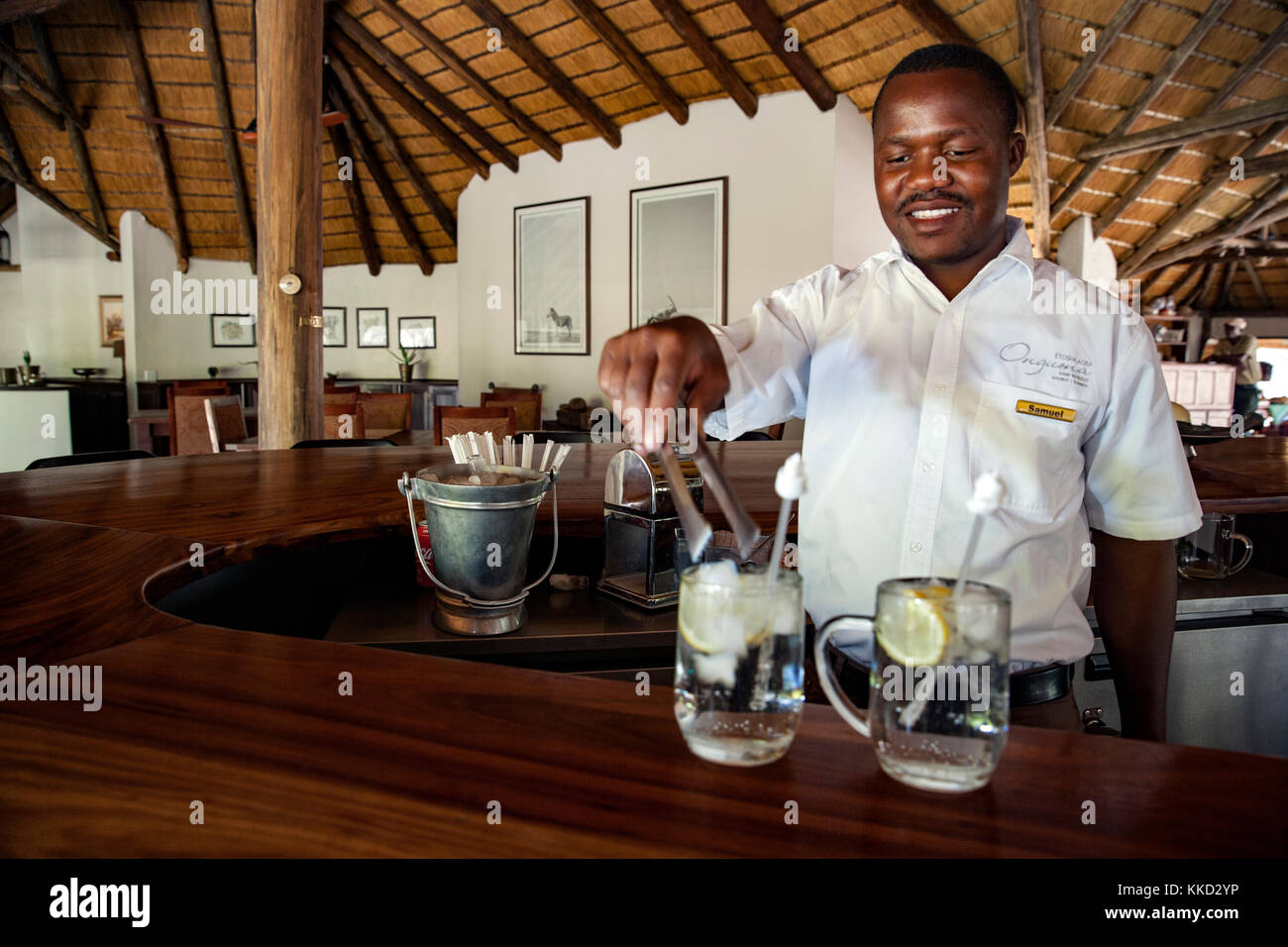 Il barista a etosha aoba lodge, onguma Game Reserve, Namibia, Africa Foto Stock