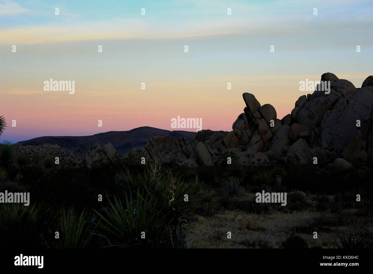 Joshua Tree National Park California Foto Stock