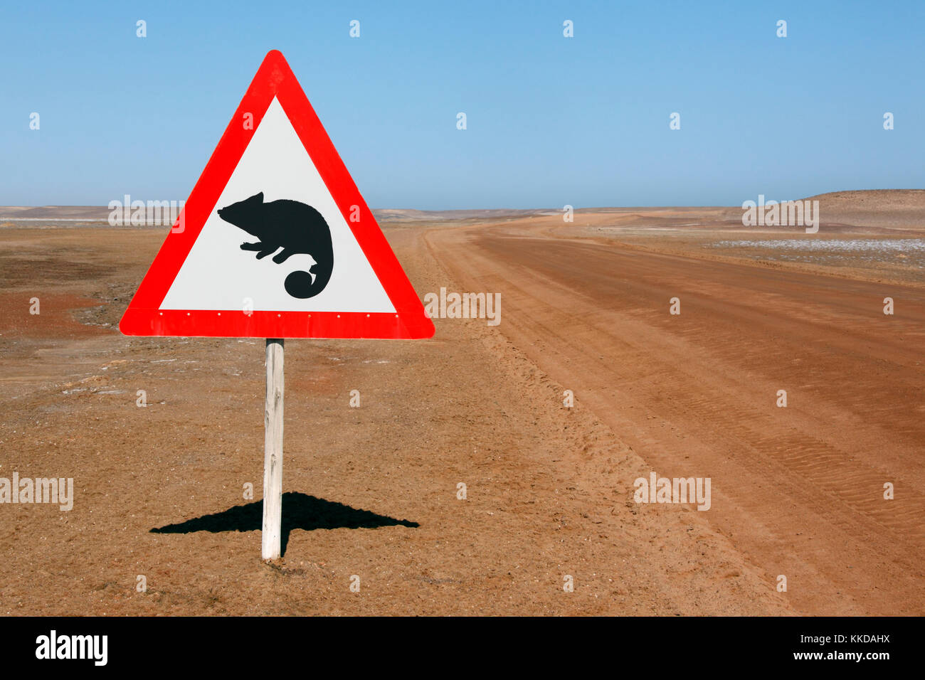 Avvertenza "camaleonti' cartello stradale su un deserto remoto strada in Namibia Foto Stock