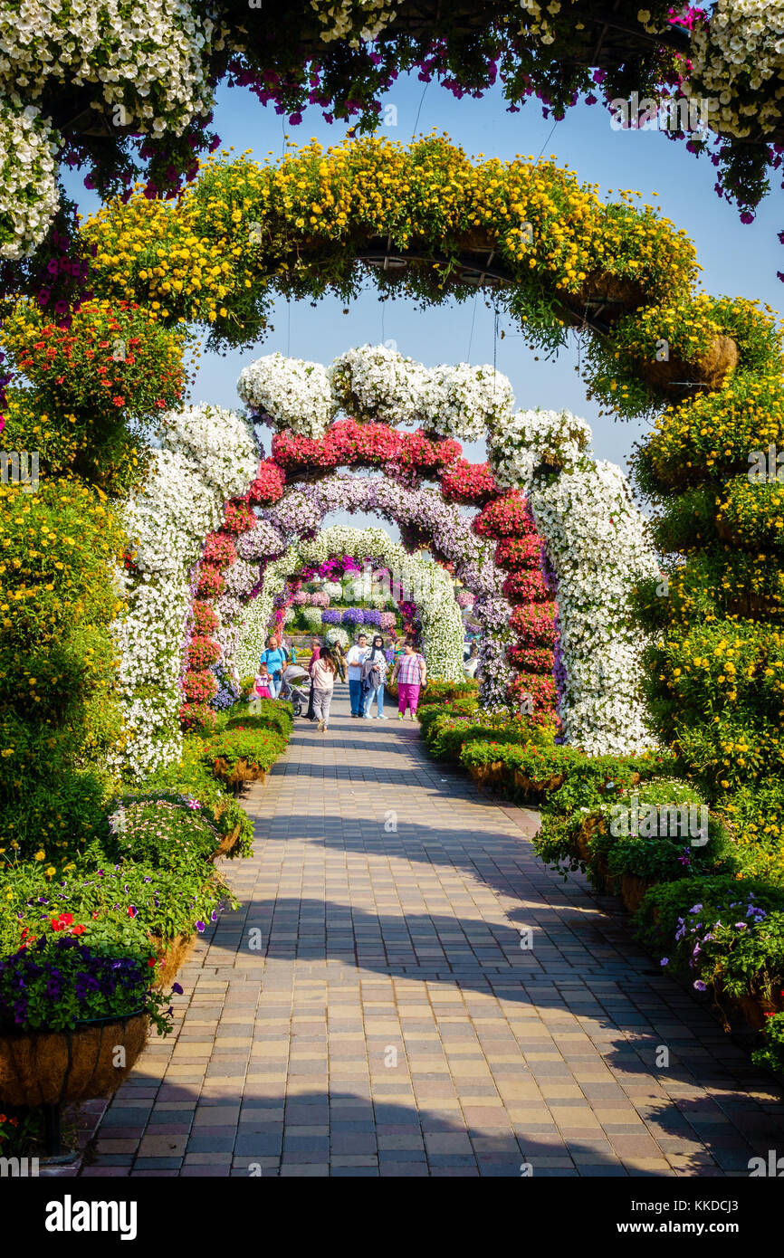Dubai, UAE, 22 gennaio 2016: miracolo garden è una delle principali attrazioni turistiche in Dubai Emirati arabi uniti Foto Stock