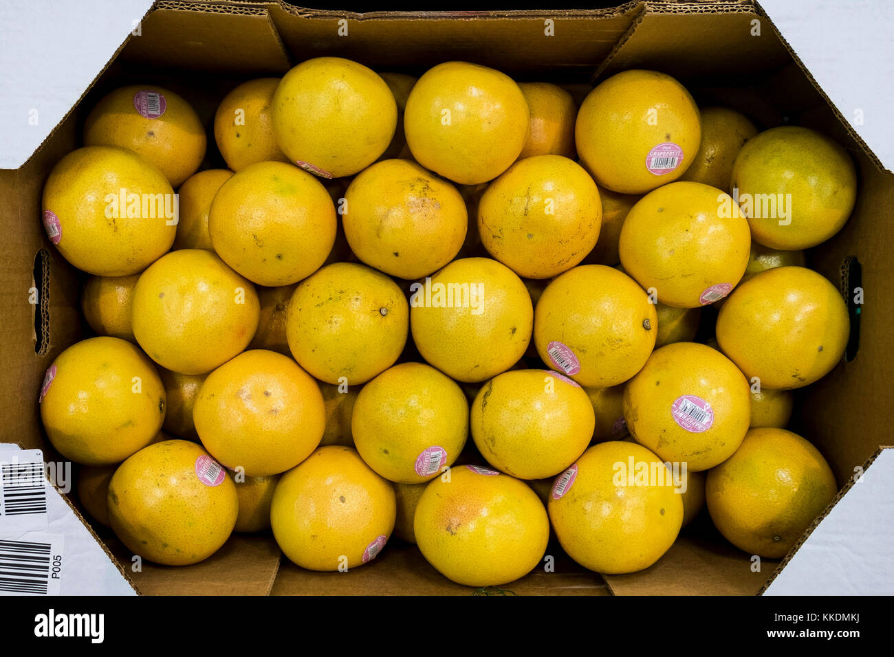 Una scatola di fresco pompelmo rosa Citrus x paradisi in vendita. Foto Stock