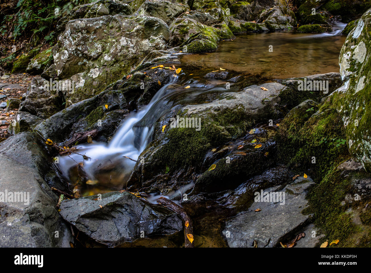 Cava Scura scende Foto Stock