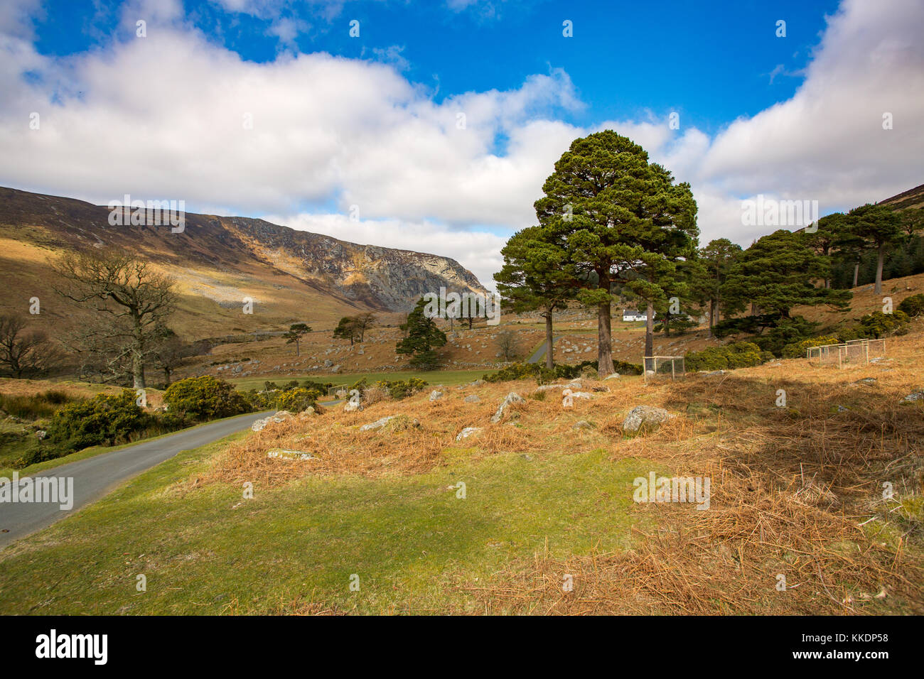 Panorama sulla valle sottostante luggala montagna da lough dan a piedi nelle montagne di Wicklow, Irlanda Foto Stock