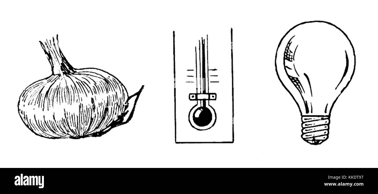 La lampadina2 (PSF) Foto Stock