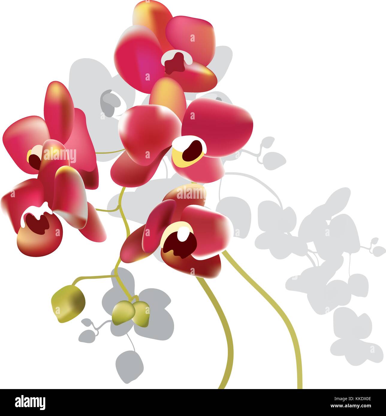 Fiori di orchidea rossi Illustrazione Vettoriale
