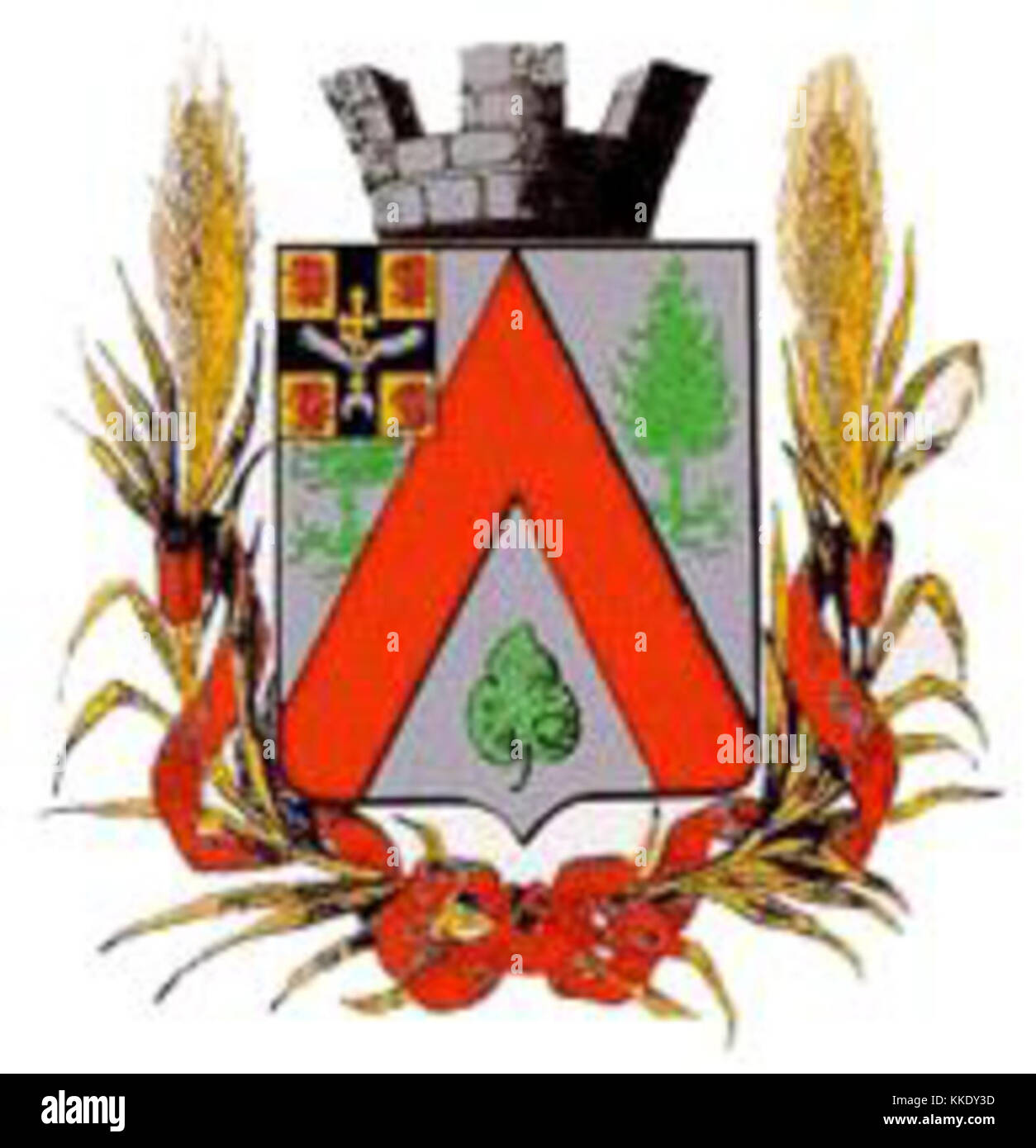 Questa rappresentazione del 1875 dello stemma della città di Dusheti mette in evidenza l'identità storica e culturale della città, rappresentando il patrimonio della regione attraverso i suoi elementi simbolici. Foto Stock