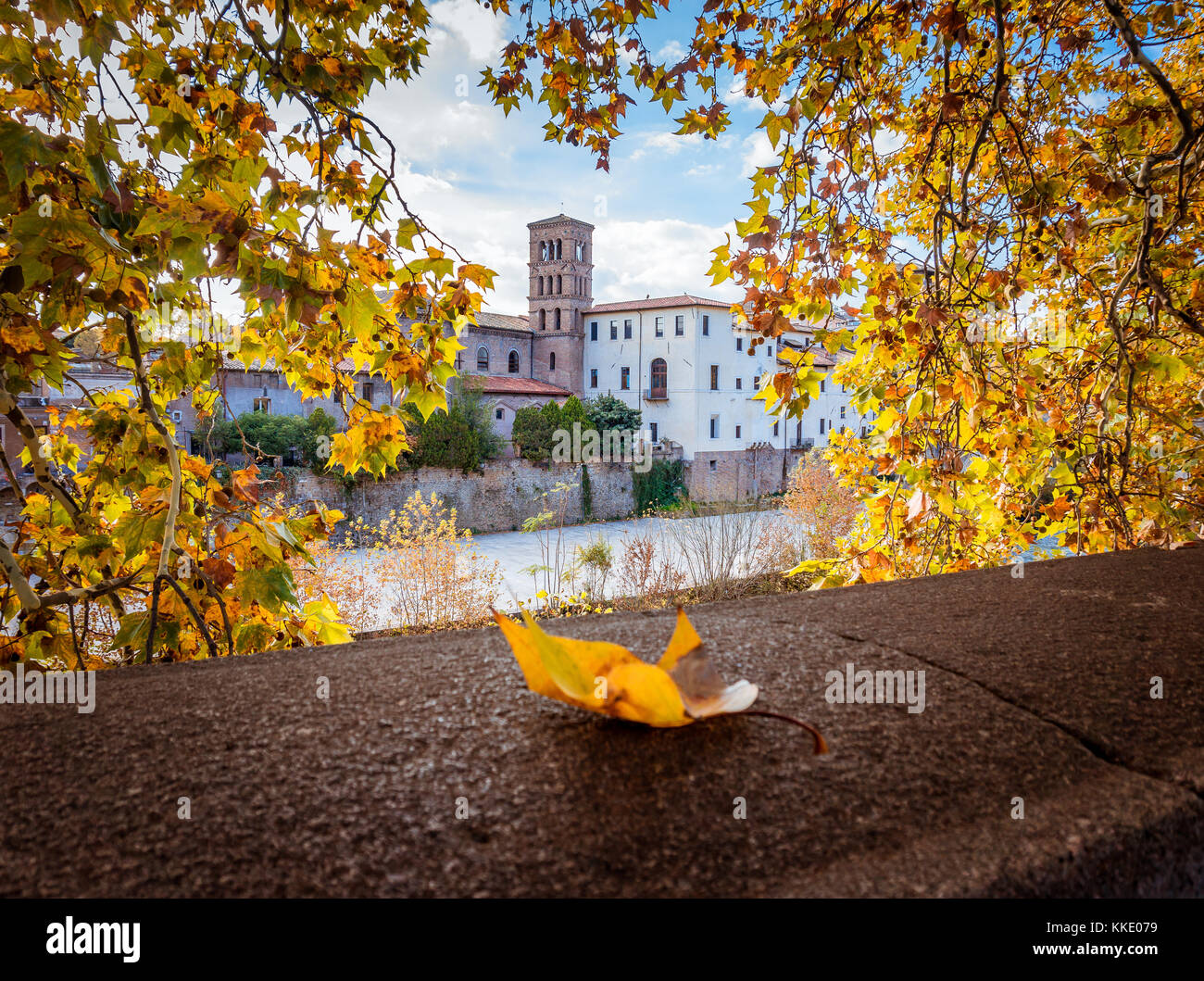 Bellissima foto di roma, Italia con fogliame giallo in autunno Foto Stock