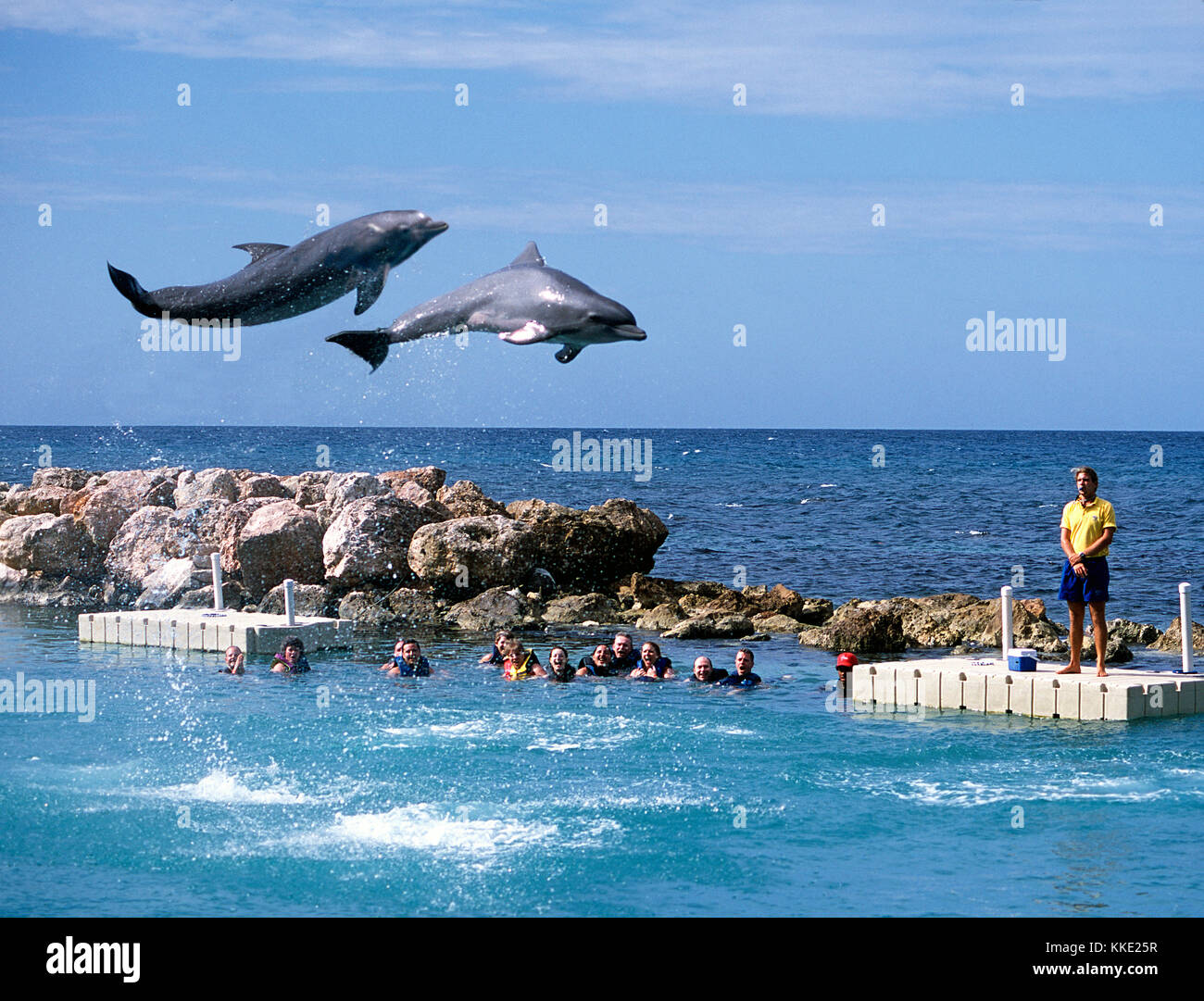 Nuotare con i delfini a Ocho Rios in Giamaica Foto Stock