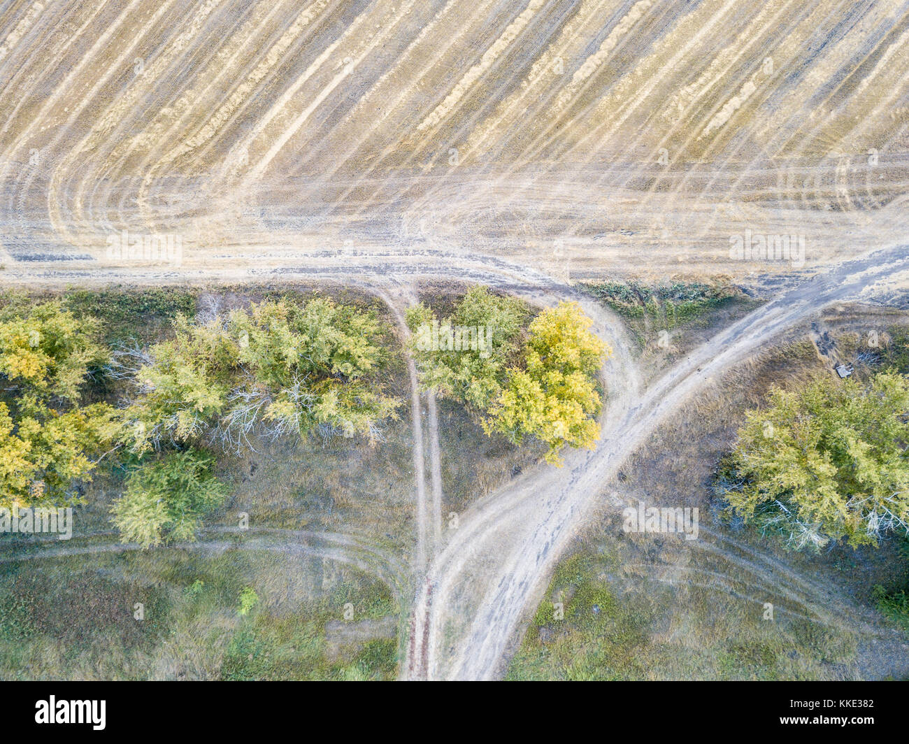 Vista aerea di grandi campi di grano dopo la mietitura Foto Stock