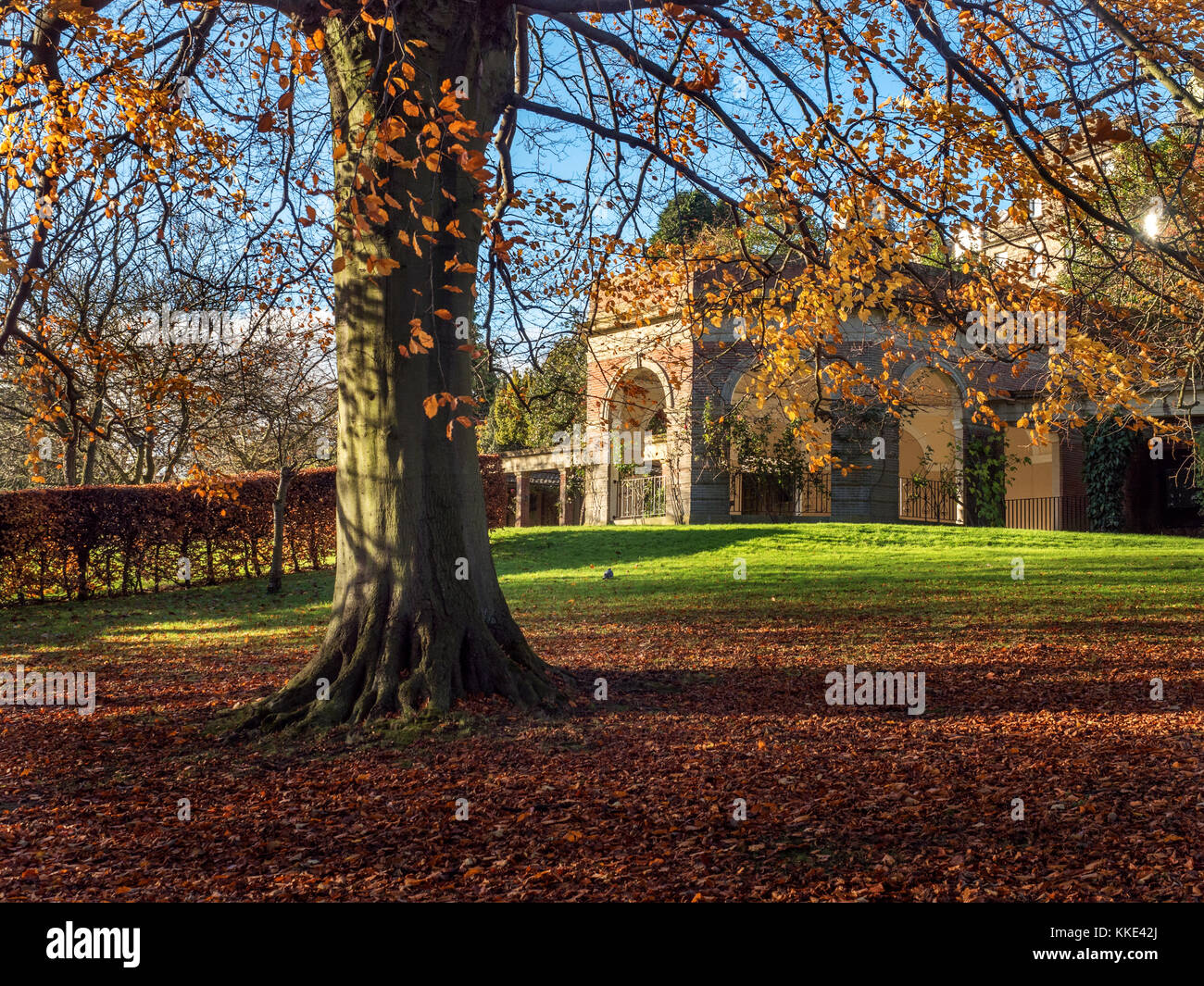 La terrazza per il sole e un albero autunnali nei giardini della valle Harrogate North Yorkshire, Inghilterra Foto Stock
