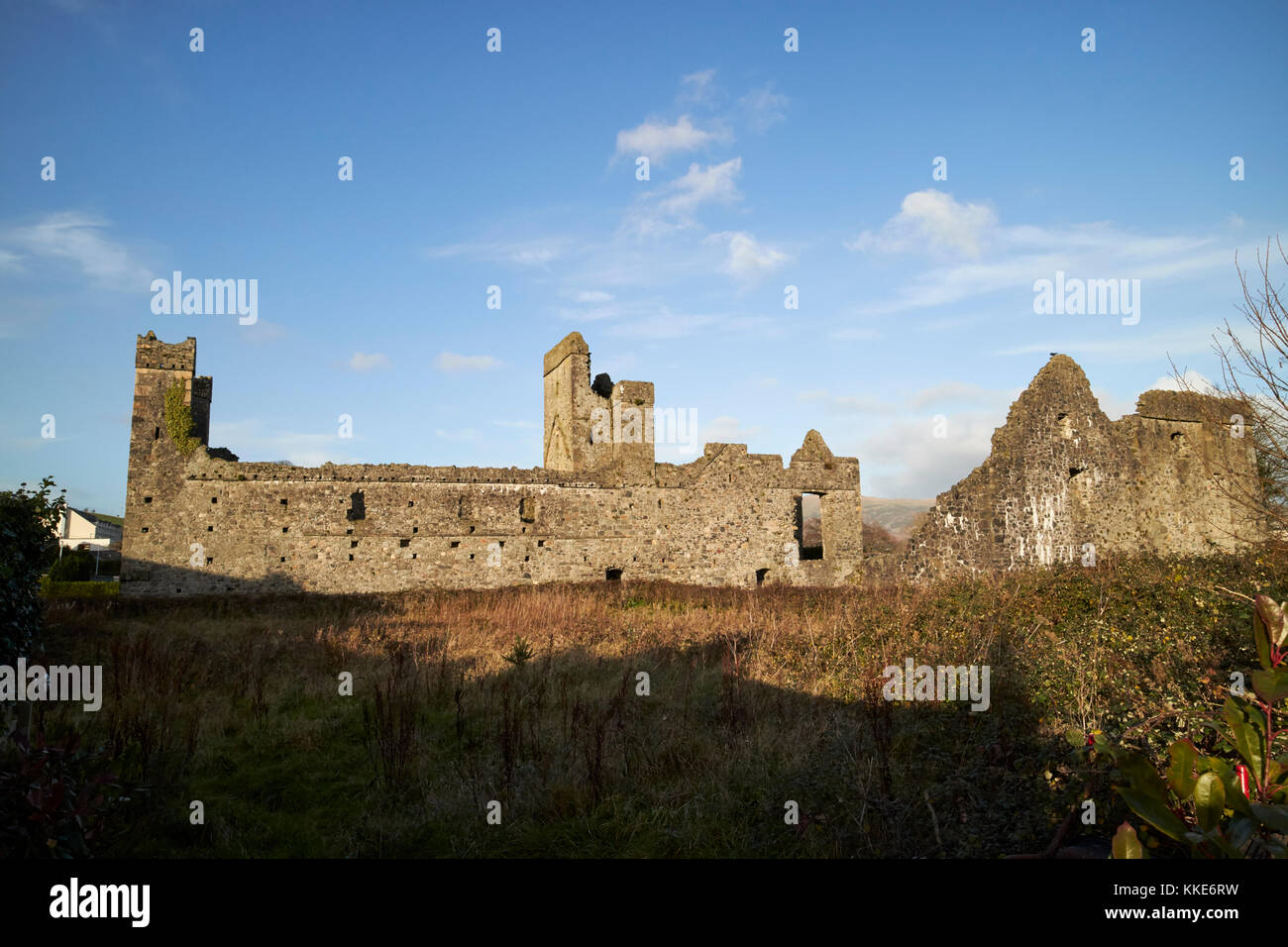 Convento domenicano carlingford abbey priory County Louth Repubblica di Irlanda Foto Stock