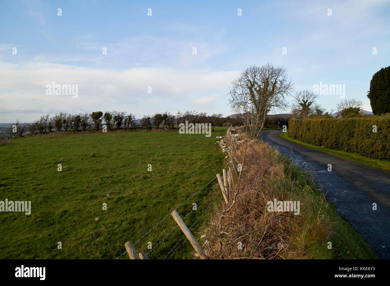 Vista dalla collina di faughart su North County Louth Repubblica di Irlanda Foto Stock