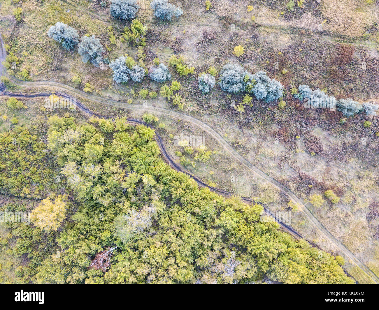 Foresta e campo con un sentiero la fotografia aerea Foto Stock